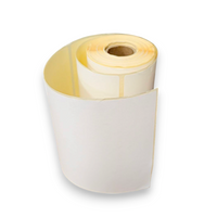ETYKIETA TERMICZNA BIAŁA 100X150MM PERFORACJA FI 40 1 rolka 300 szt. (CF)