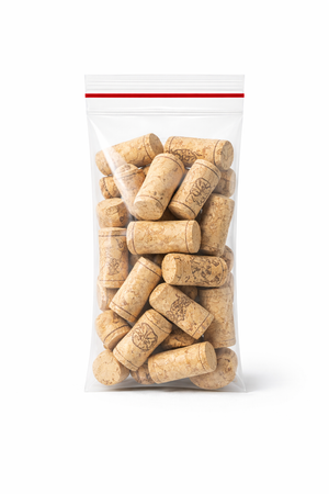 TOREBKA STRUNOWA/ZIP BAG 100X200mm op. 100 szt.
